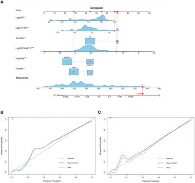 Establishment and validation of a nomogram containing cytokeratin fragment antigen 21-1 for the differential diagnosis of intrahepatic cholangiocarcinoma and hepatocellular carcinoma